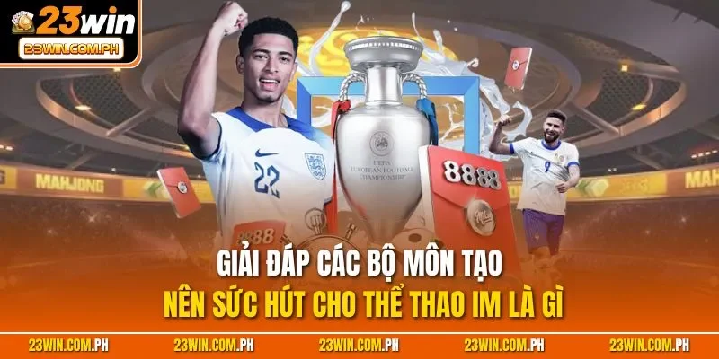 Giải đáp các bộ môn tạo nên sức hút cho thể thao IM là gì
