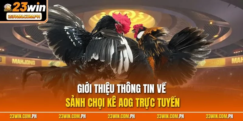 Giới thiệu thông tin về sảnh chọi kê AOG trực tuyến