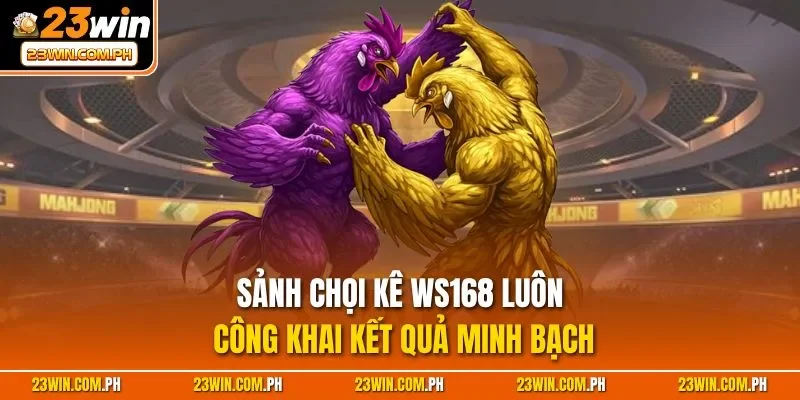 Sảnh chọi kê WS168 luôn công khai kết quả minh bạch