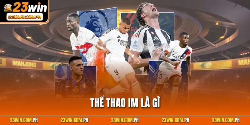 Thể thao IM là gì