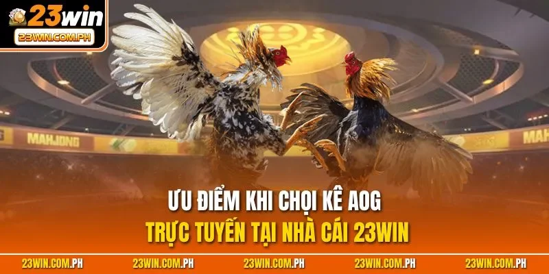 Ưu điểm khi chọi kê AOG trực tuyến tại nhà cái 23WIN